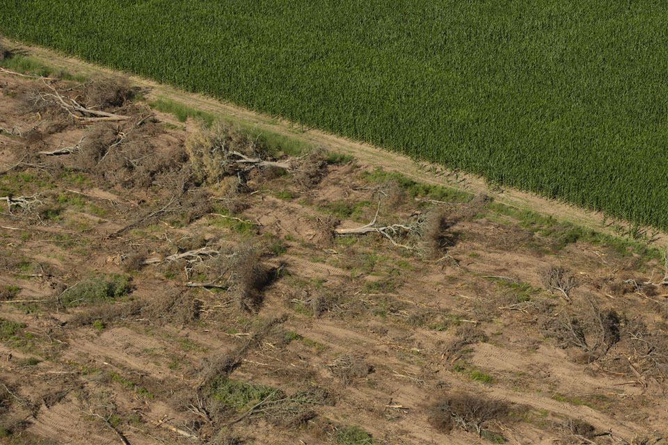 Después de las quemas de islas, piden proyectos de manejo de bosques