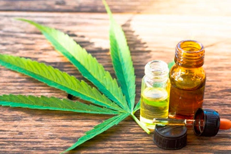 Alberto reglamentó la ley y se venderá en farmacias