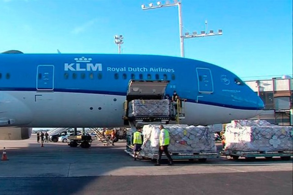 Llegaron 864 mil dosis del Fondo Covax