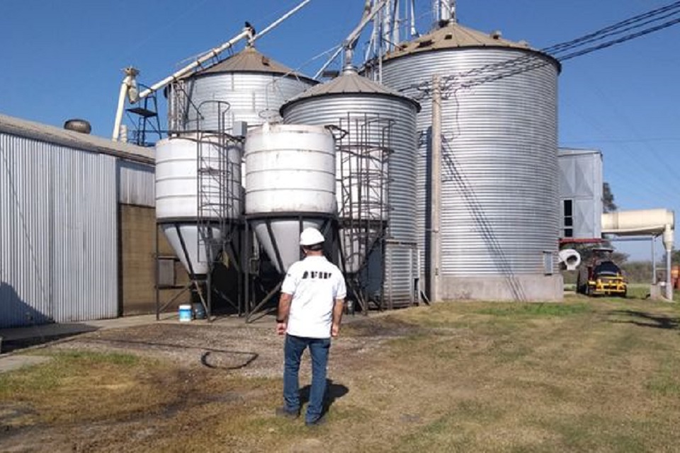 Evasión millonaria de dos cerealeras entrerrianas