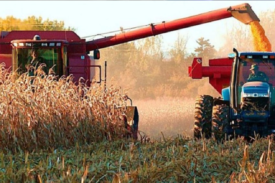 Aseguran que la renta agrícola en Entre Ríos es del 66%