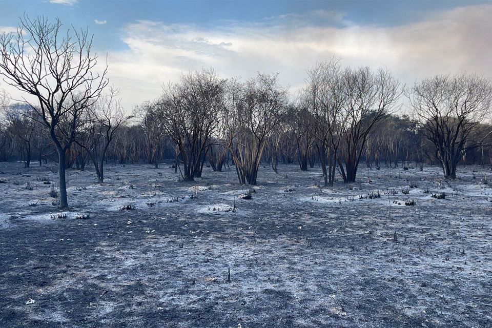 La lluvia apagó el incendio en la Isla Puente