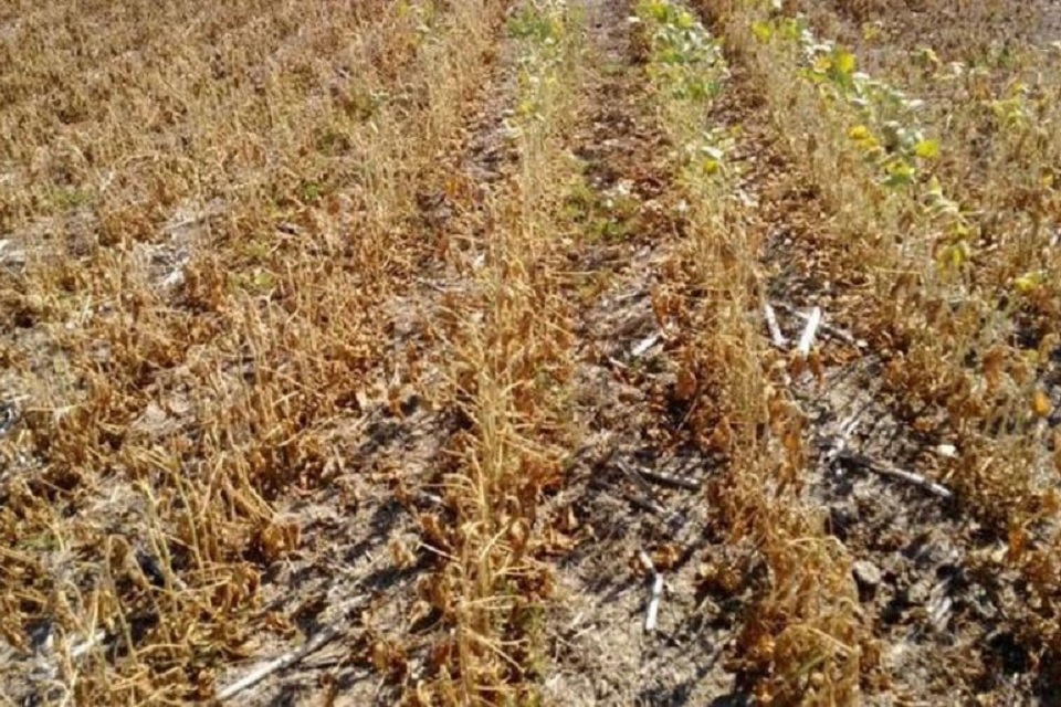 Más gestiones para los productores