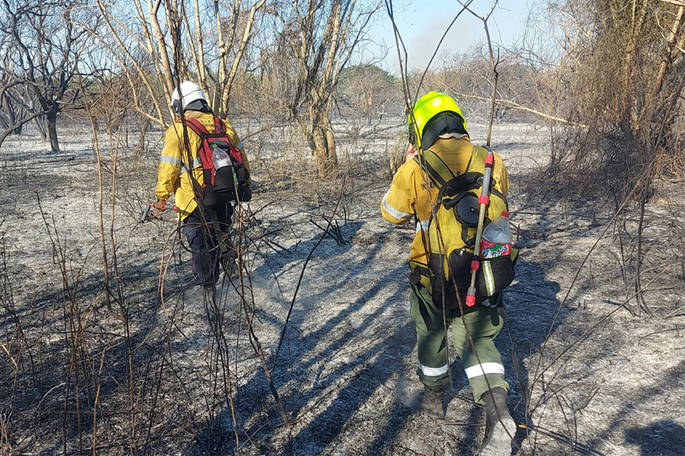 Siguen los incendios en la Isla Puente