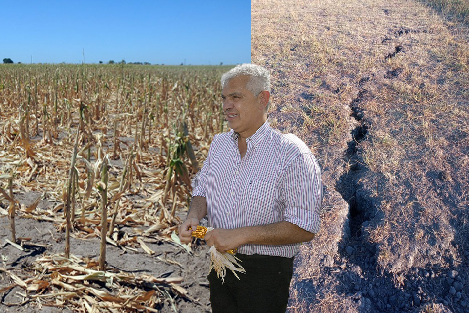 Le parece poco la ayuda a los productores