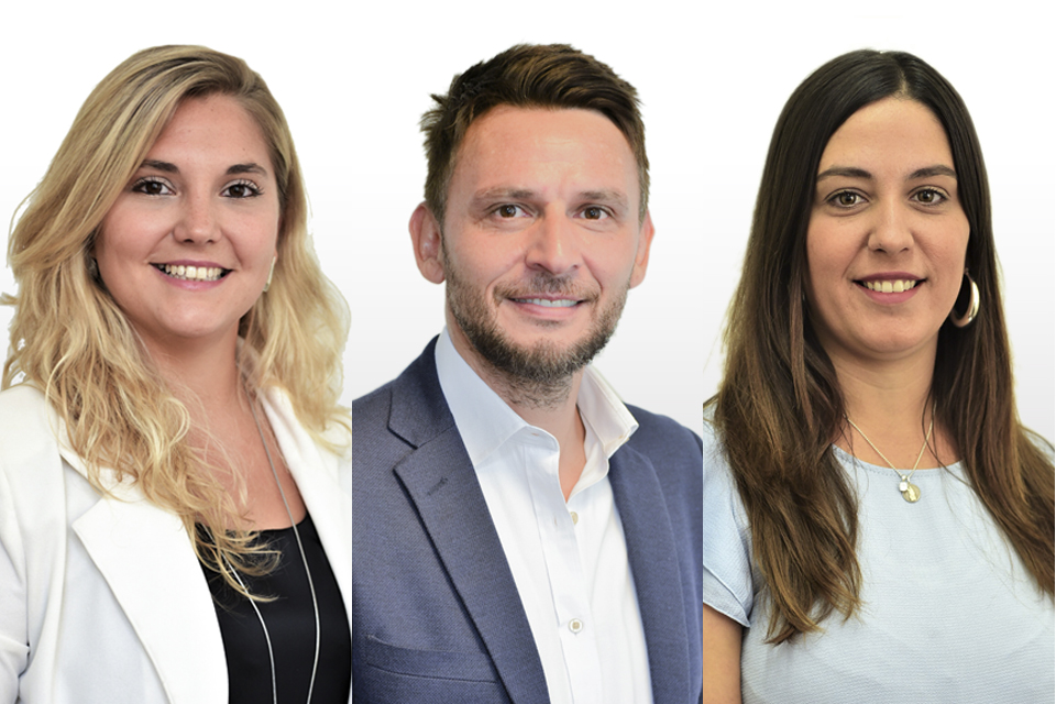 Útero, próstata y armas