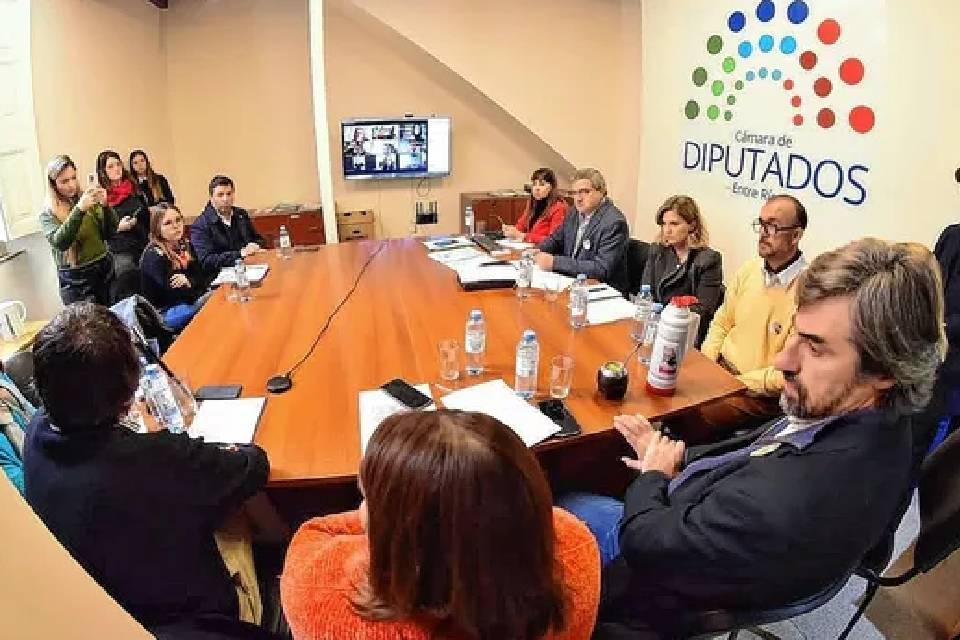 Diputados dio tratamiento en comisión a la Ley Felipe