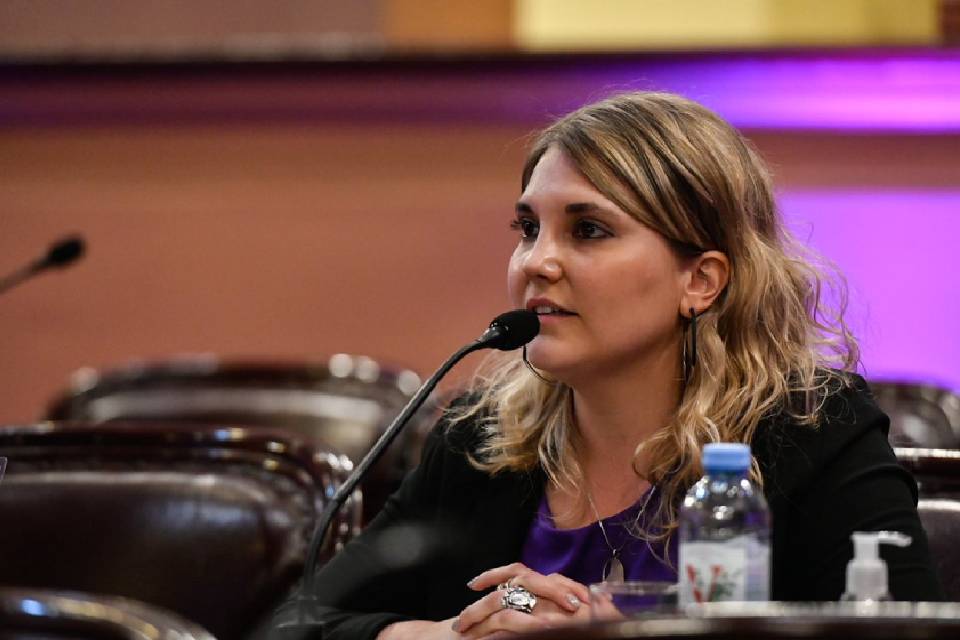 Diputada del PJ le bajó el precio a las PASO