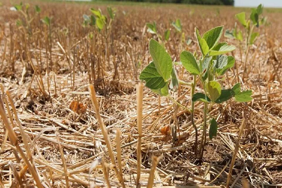 Las exigencias de la oposición y de la Mesa de Enlace ante la sequía