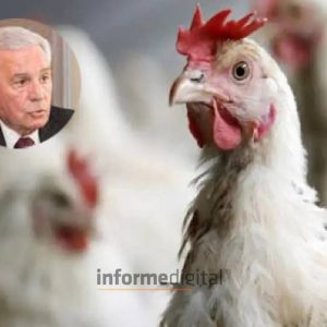 Motta: “El gran desafío es recuperar China”