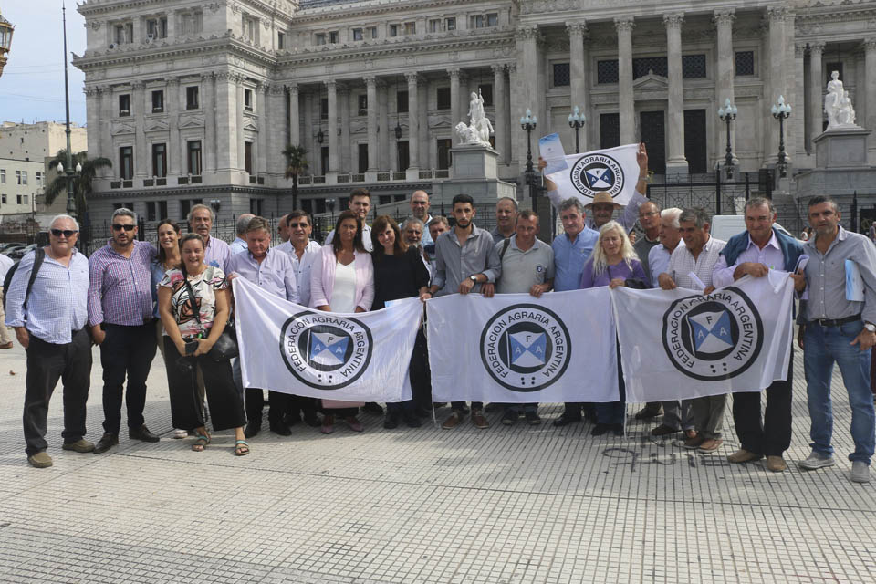 Desde la FAA piden un plan salvataje