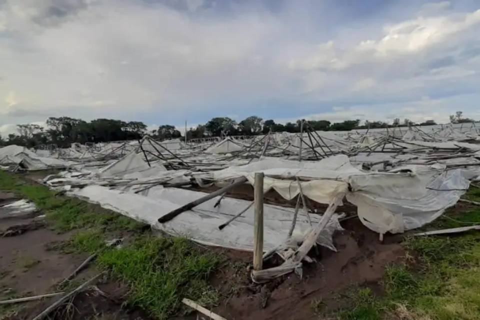 Fuerte temporal en Santa Fe, Corrientes y Entre Ríos: árboles caídos, voladuras de techos y cortes de luz
