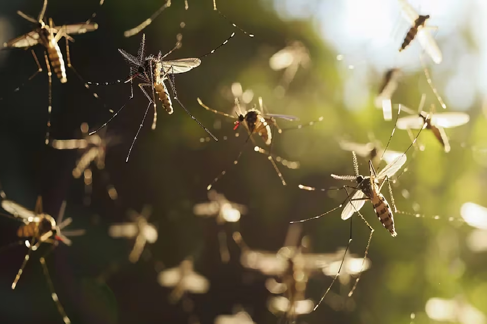 (Mención a Entre Ríos) El ministerio de Salud de la Nación intensifica esfuerzos frente al brote del dengue