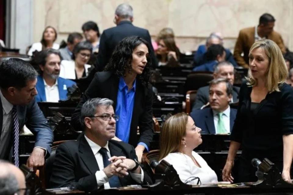 (Mención a legisladora entrerriana) Diputados opositores realizan actividad en contra del DNU con abogados constitucionalistas