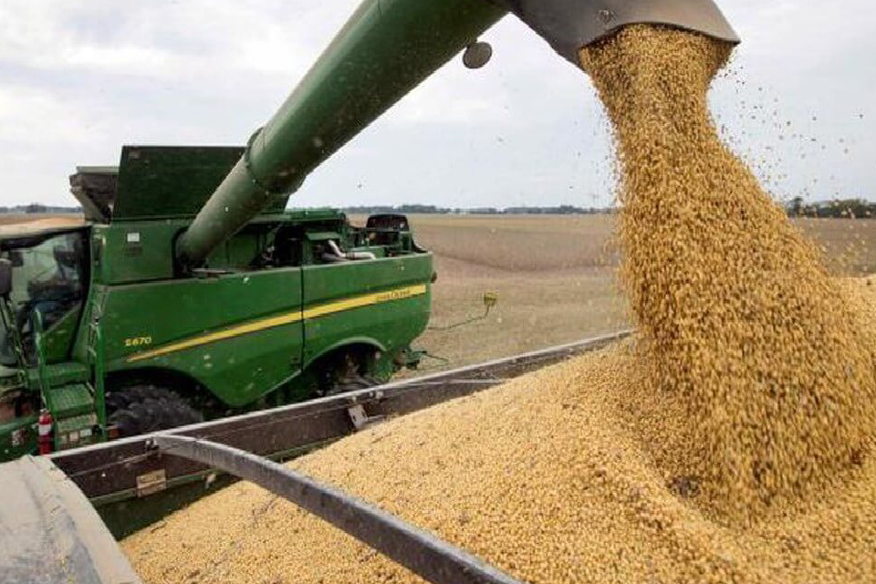 La soja en Entre Ríos solo alcanzó el 10% de lo que se esperaba