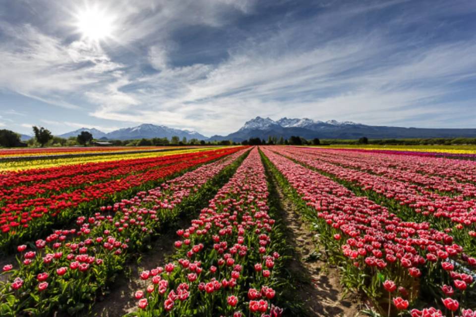 (Mención a localidad entrerriana) Definieron los 8 pueblos argentinos que competirán por ser los mejores del mundo