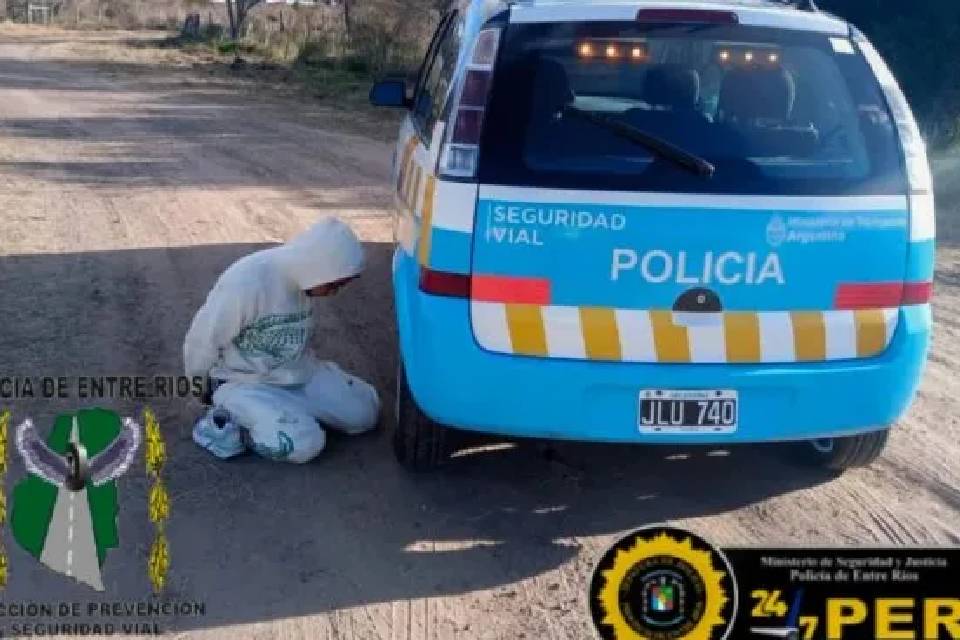 (Mención a Entre Ríos) Incautaron ocho autos robados en Buenos Aires que tenían como destino Misiones