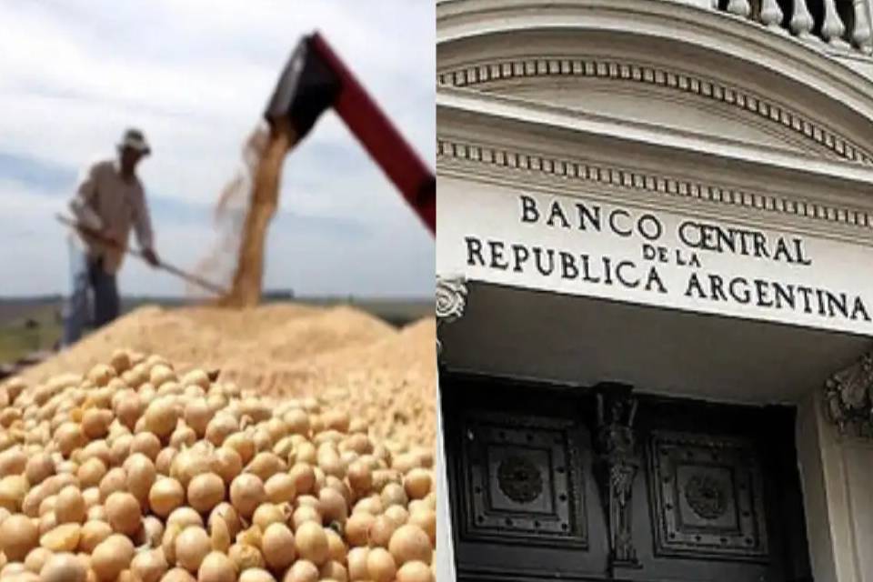(Mención a Entre Ríos) El precio de la soja sigue sin encontrar piso: ¿Qué impacto puede tener en las reservas del BCRA?