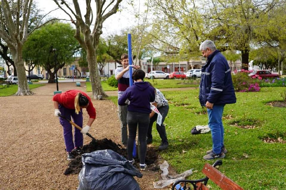Reforestación de especies en Plaza Urquiza