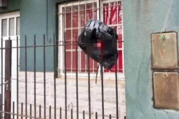 Entre Ríos: intentó saltar la reja, se quedó enganchado y perdió un testículo