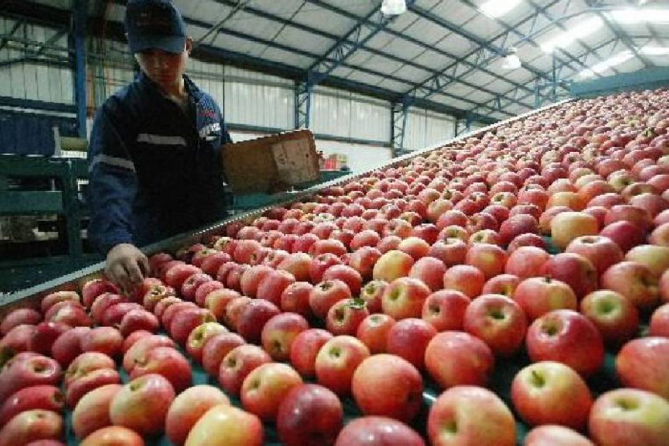 (Datos de Entre Ríos) Subieron las exportaciones regionales: cómo le fue a cada sector, qué provincias vendieron más y a qué países