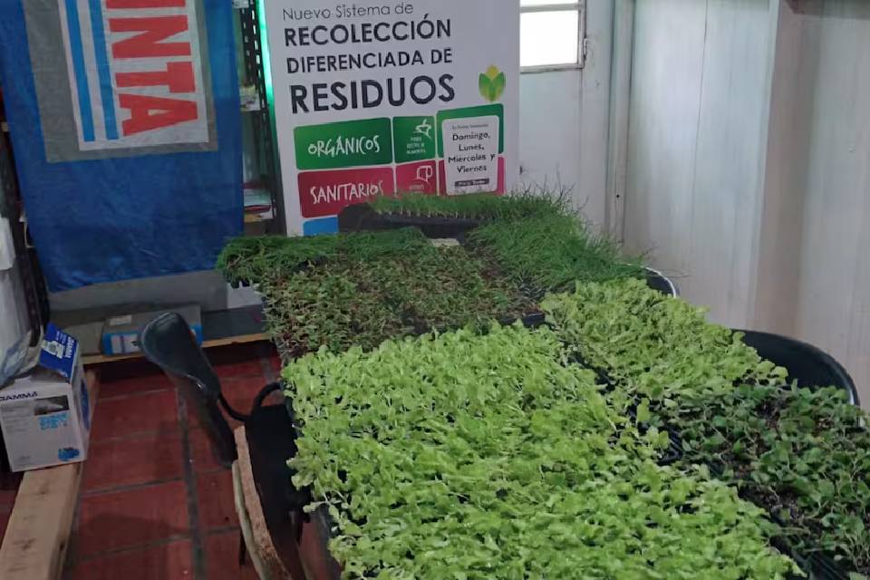 (En Entre Ríos) Motosierra oficial: avanza en el INTA un sigiloso cierre de agencias de extensión