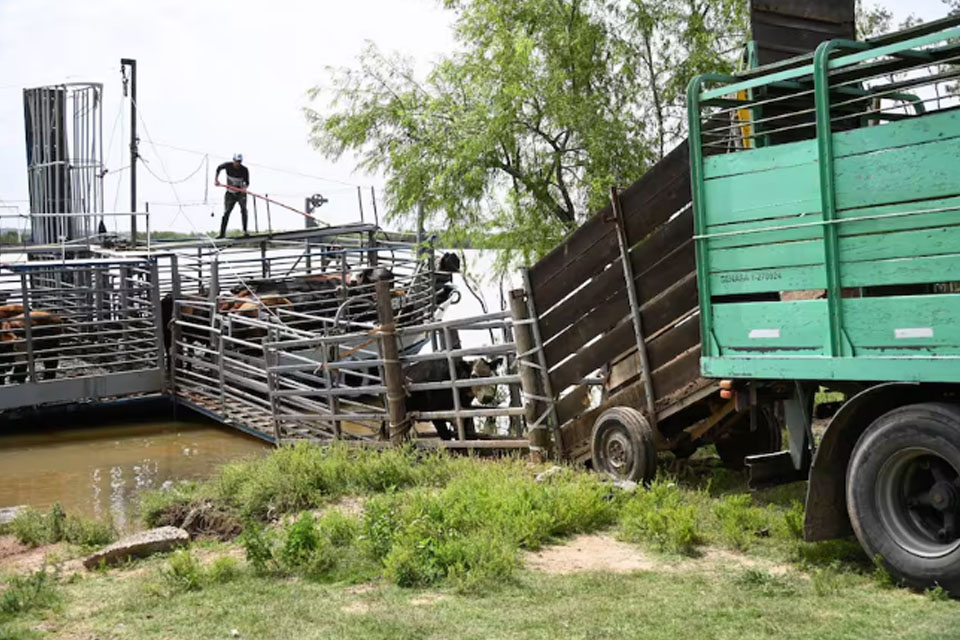 “Es una locura”: una intendenta K de Entre Ríos subió una tasa de puertos y los productores apuran una estrategia para que haya más competen