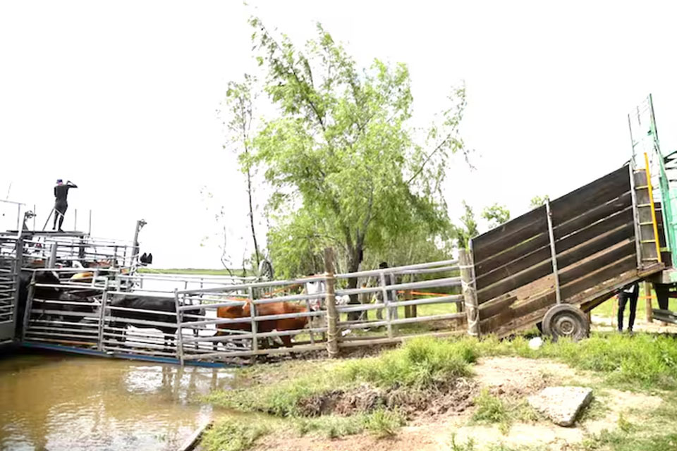 (Ciudad de Entre Ríos) Golpe a un municipio K: aprobaron construir tres puertos en Victoria luego de que la intendenta aumentara las tasas