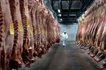 México otorga prórroga tras identificar problemas en 10 frigoríficos exportadores de carne