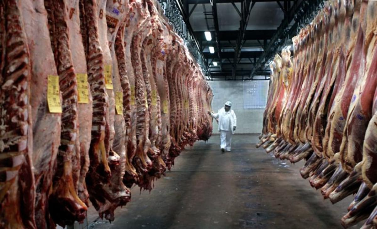 México otorga prórroga tras identificar problemas en 10 frigoríficos exportadores de carne