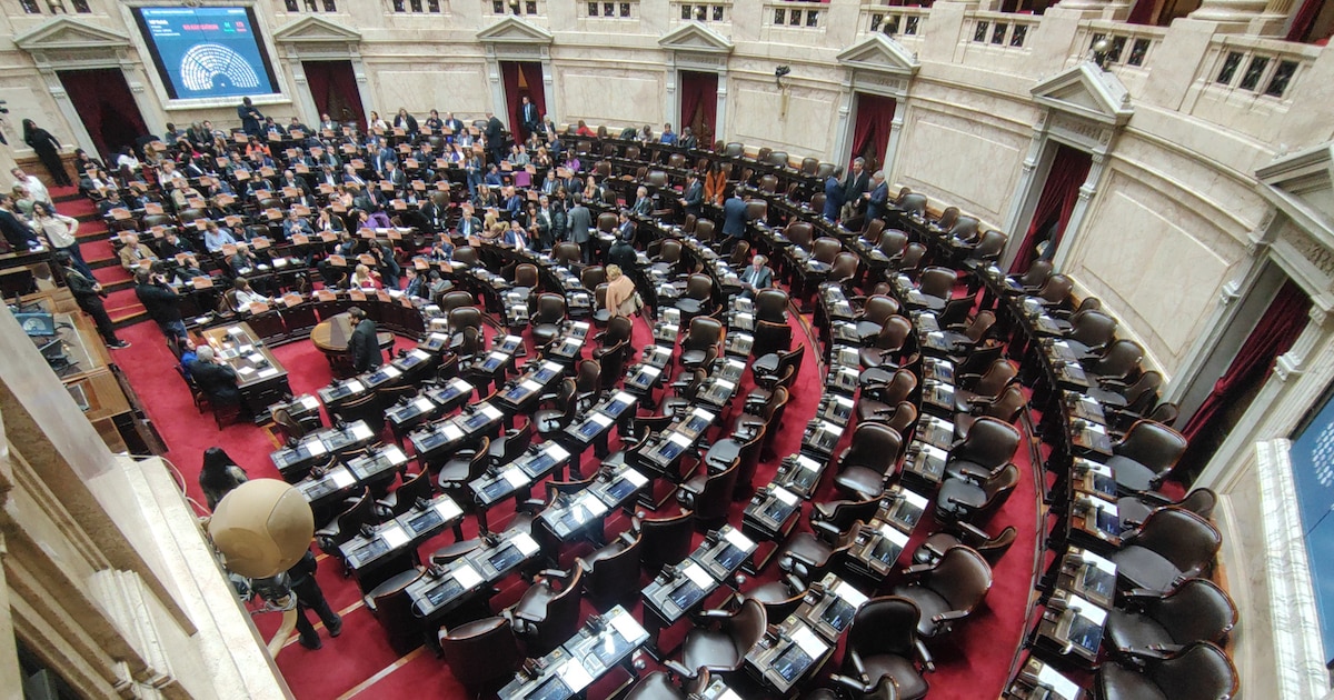 Dólares en el colchón: la falta de detalles del proyecto genera escepticismo en la oposición