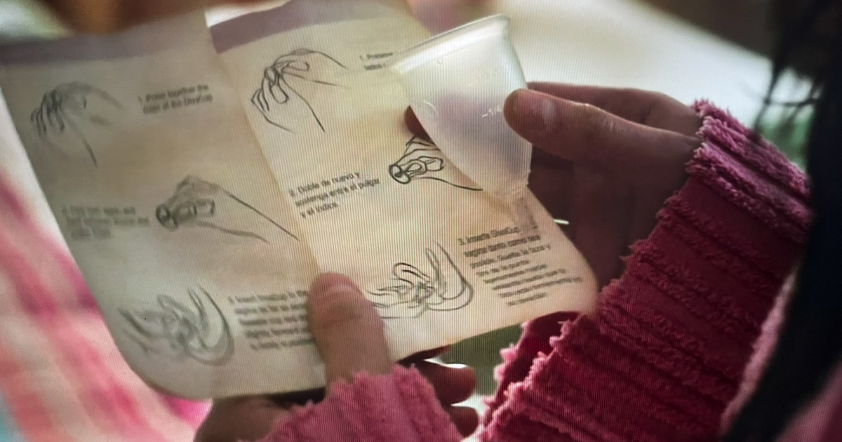 Irregularidades en los programas eliminados del ex Ministerio de la Mujer: auditoría revela falta de control y subsidios mal otorgados