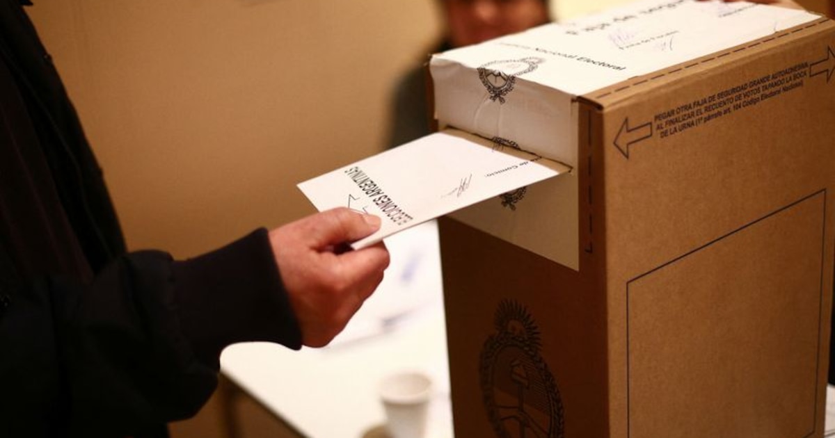 elecciones legislativas nacionales 2025: cambios en el sufragio y eliminación de las pasO