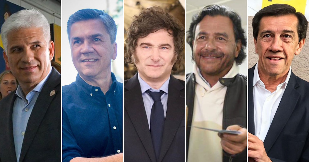 Resultados del domingo electoral: el Gobierno festeja dos triunfos, el PJ sufre un significativo retroceso y la izquierda pierde fuerza