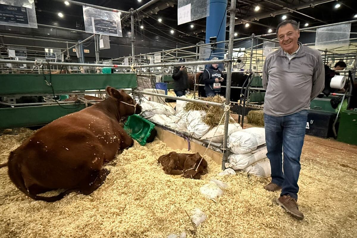 Funda una cabaña ganadera y nombra a sus animales como pueblos tras dejar su fábrica