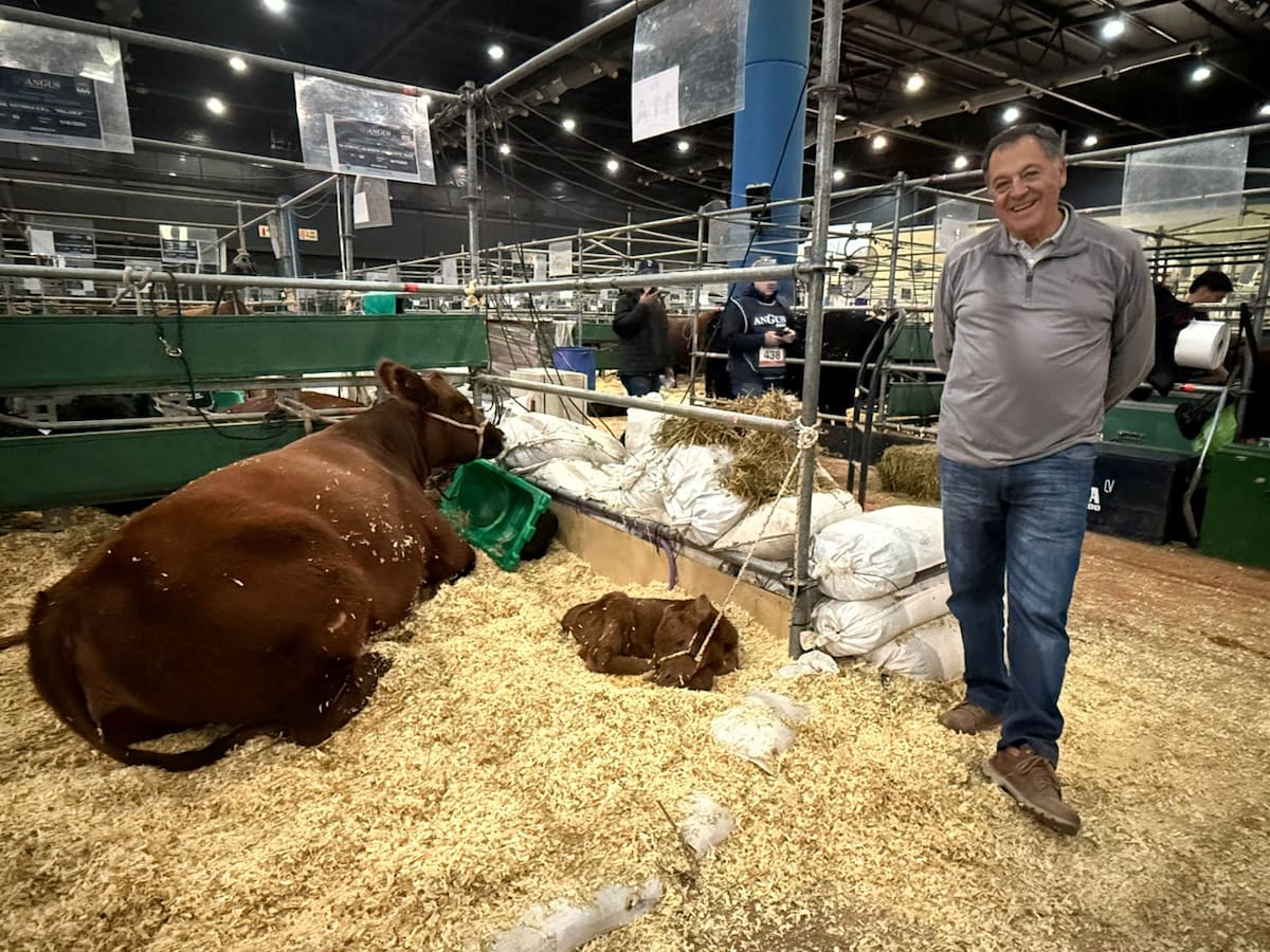 Funda una cabaña ganadera y nombra a sus animales como pueblos tras dejar su fábrica