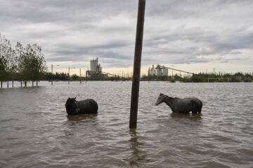Nuevas lluvias y heladas generalizadas en el pronóstico reciente
