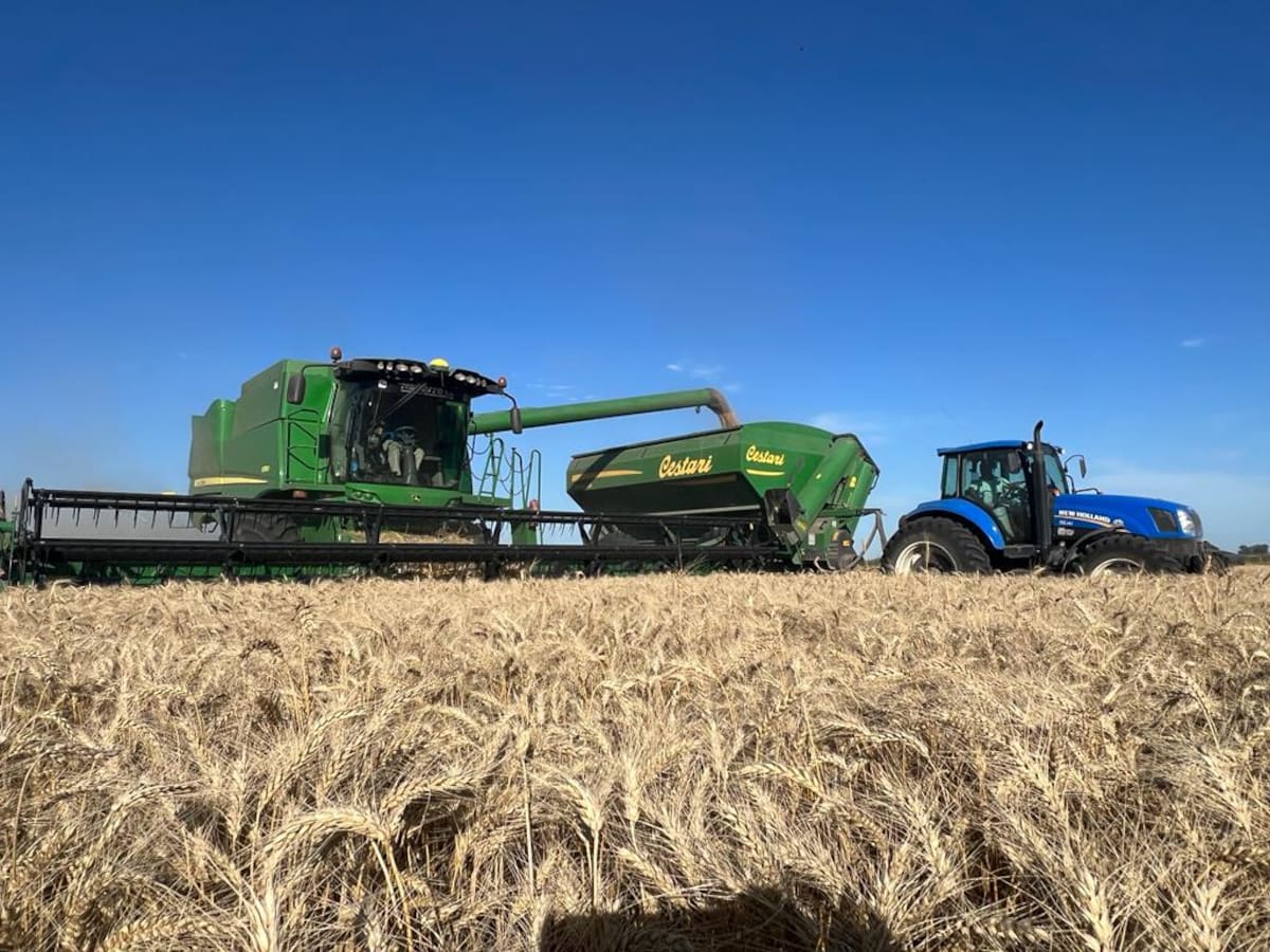 Estrategias efectivas para una campaña con presupuesto limitado