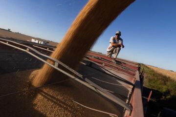 El auge de la soja en Brasil y la controversia ministerial en Argentina