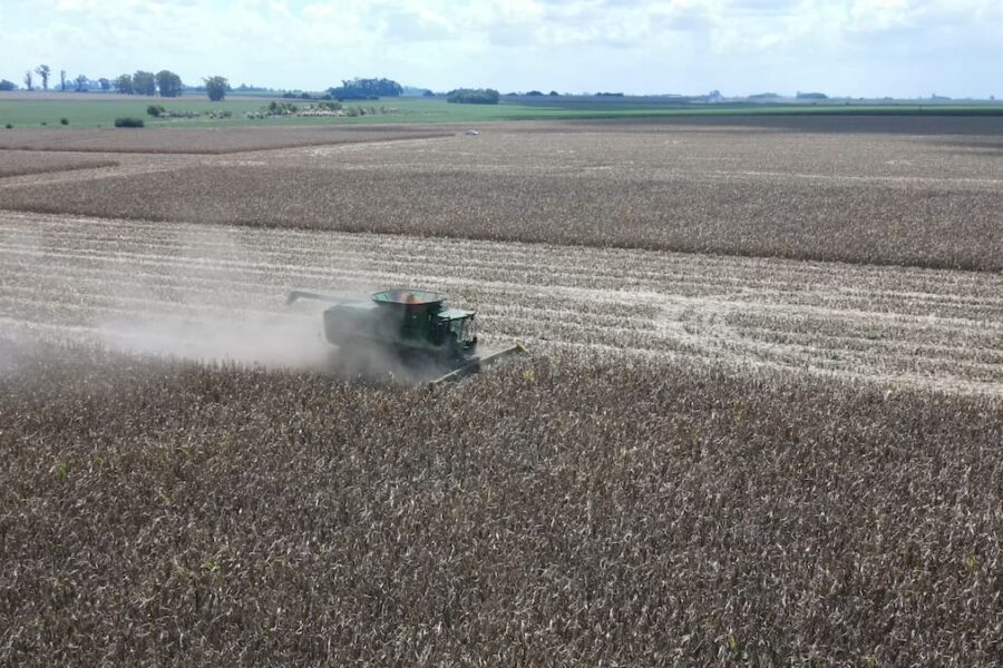 Agro exporta US$3861 millones en el primer mes de la flotación cambiaria