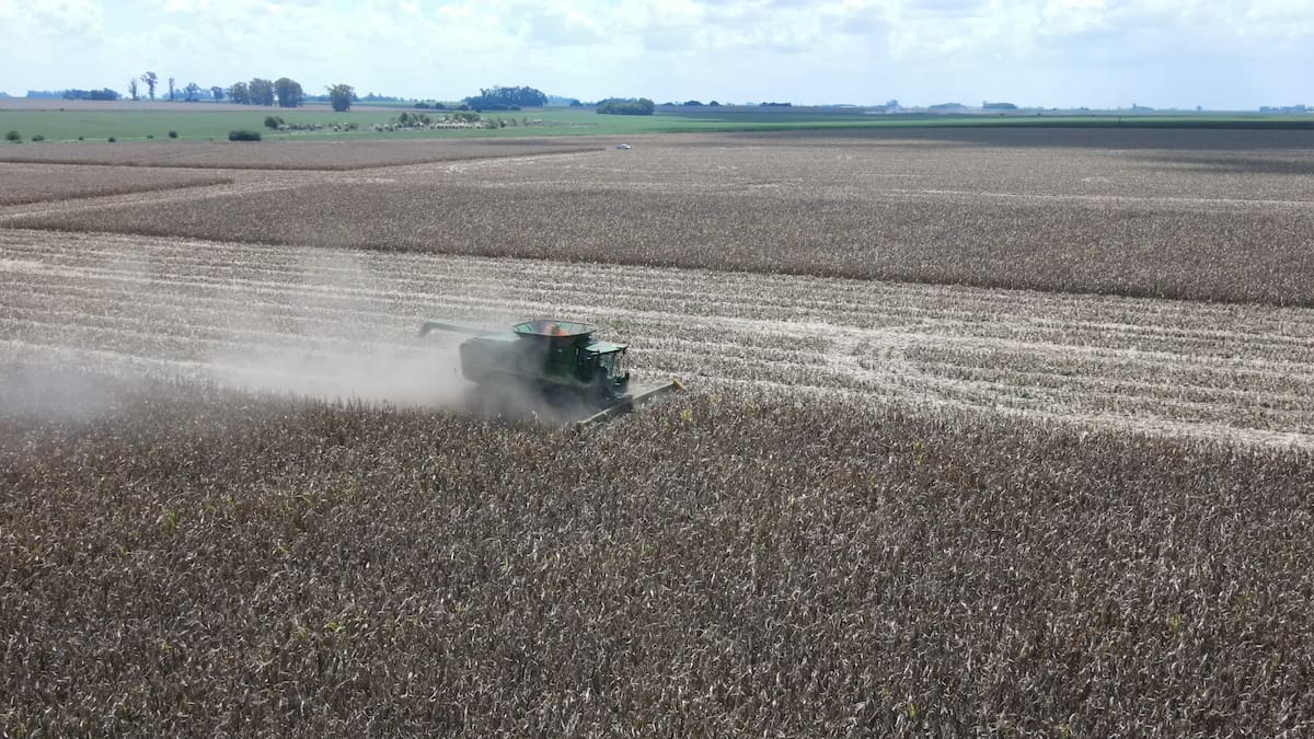 Agro exporta US$3861 millones en el primer mes de la flotación cambiaria