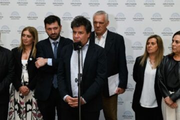 Diputados radicales presentan nuevo proyecto de Ficha Limpia para posible tratamiento este año