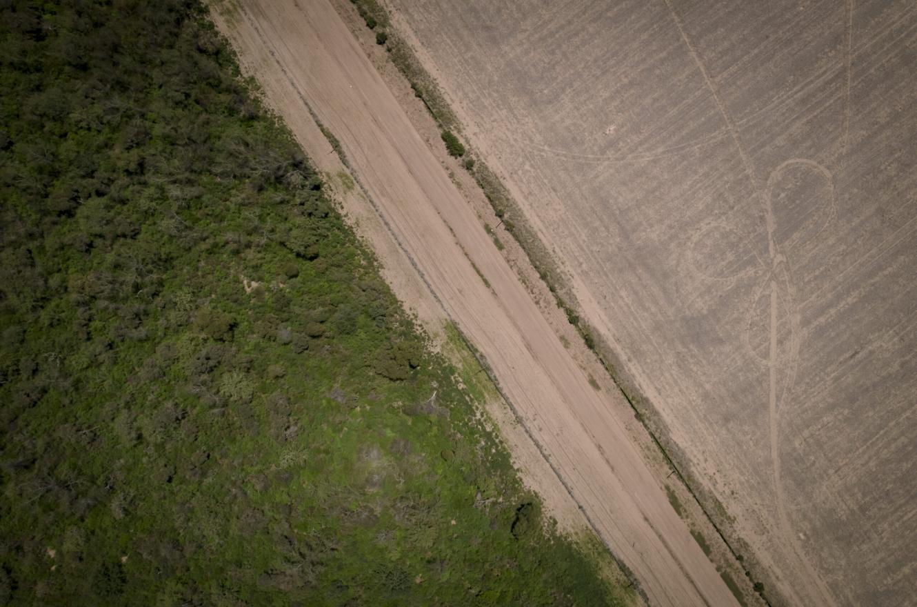 Abogados ambientalistas denuncian la mafia del desmonte en Chaco