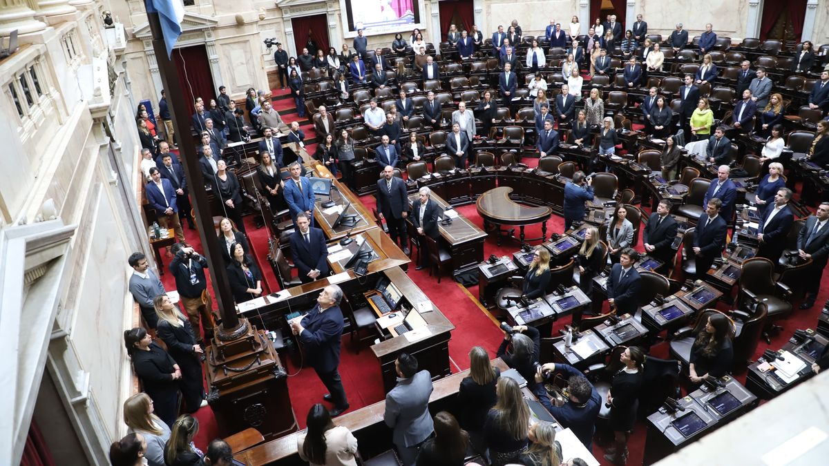 Proponen ampliar la Cámara baja para “corregir distorsiones actuales”: se sumarían 77 diputados