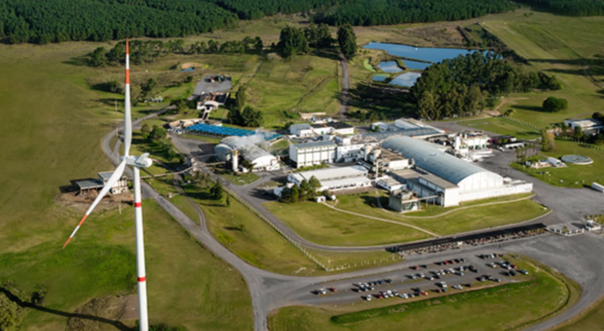 Fusión de dos empresas brasileñas crea un nuevo gigante global en el sector alimentario