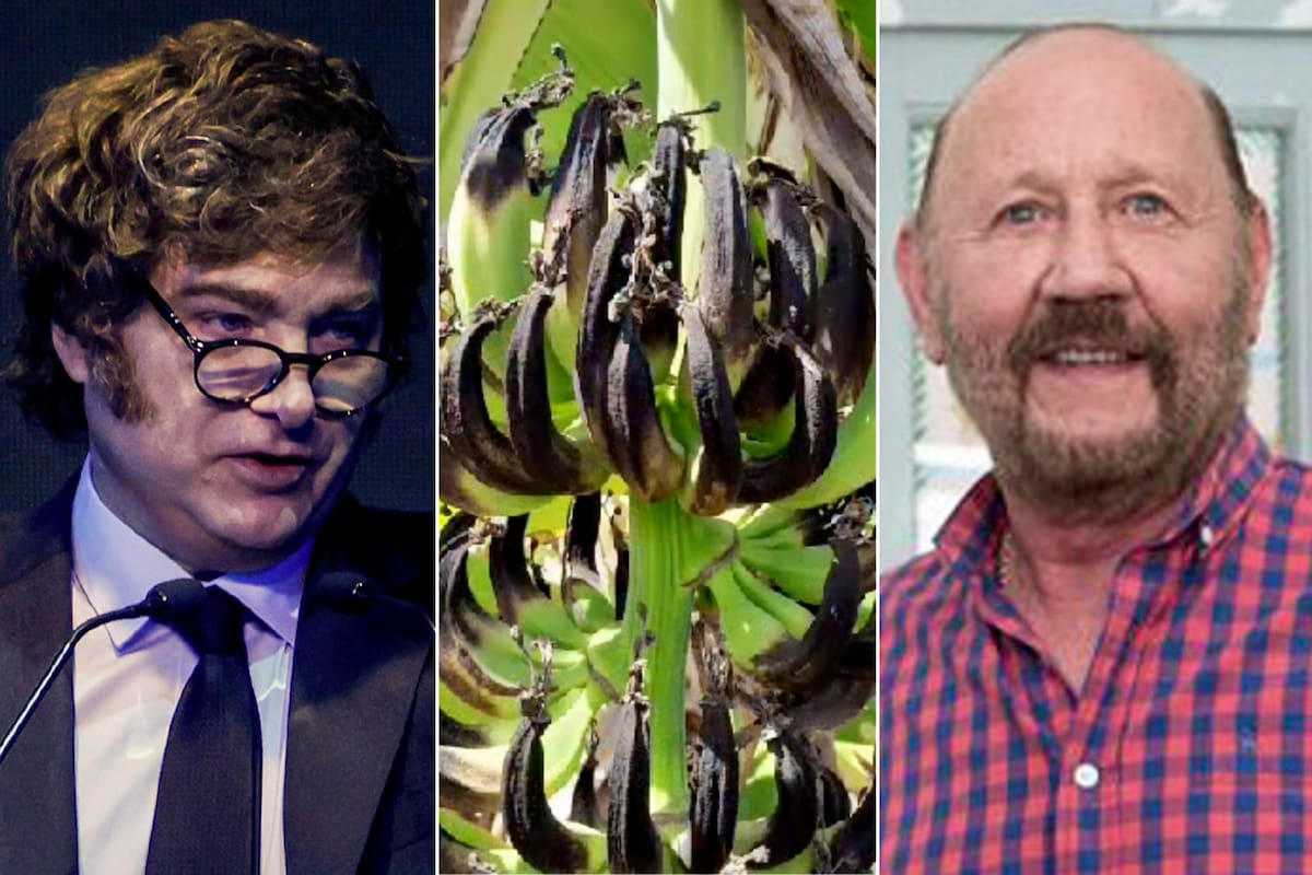 Crisis productiva: Gildo Insfrán ignora las denuncias y piden ayuda económica a Javier Milei