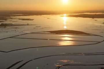 Desde Buenos Aires, el drama de los campos inundados por una obra inconclusa a 100 kilómetros de distancia
