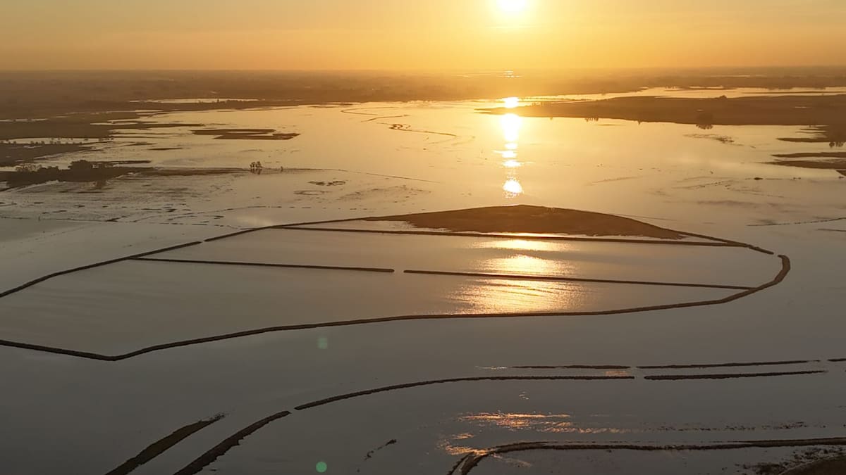 Desde Buenos Aires, el drama de los campos inundados por una obra inconclusa a 100 kilómetros de distancia