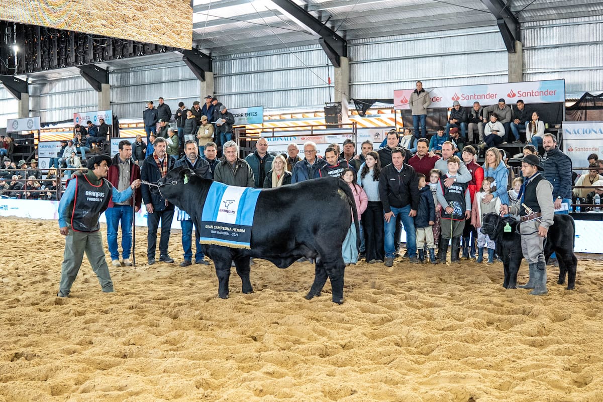 Brangus destacó a sus grandes campeones que capturaron la atención de todos en el evento