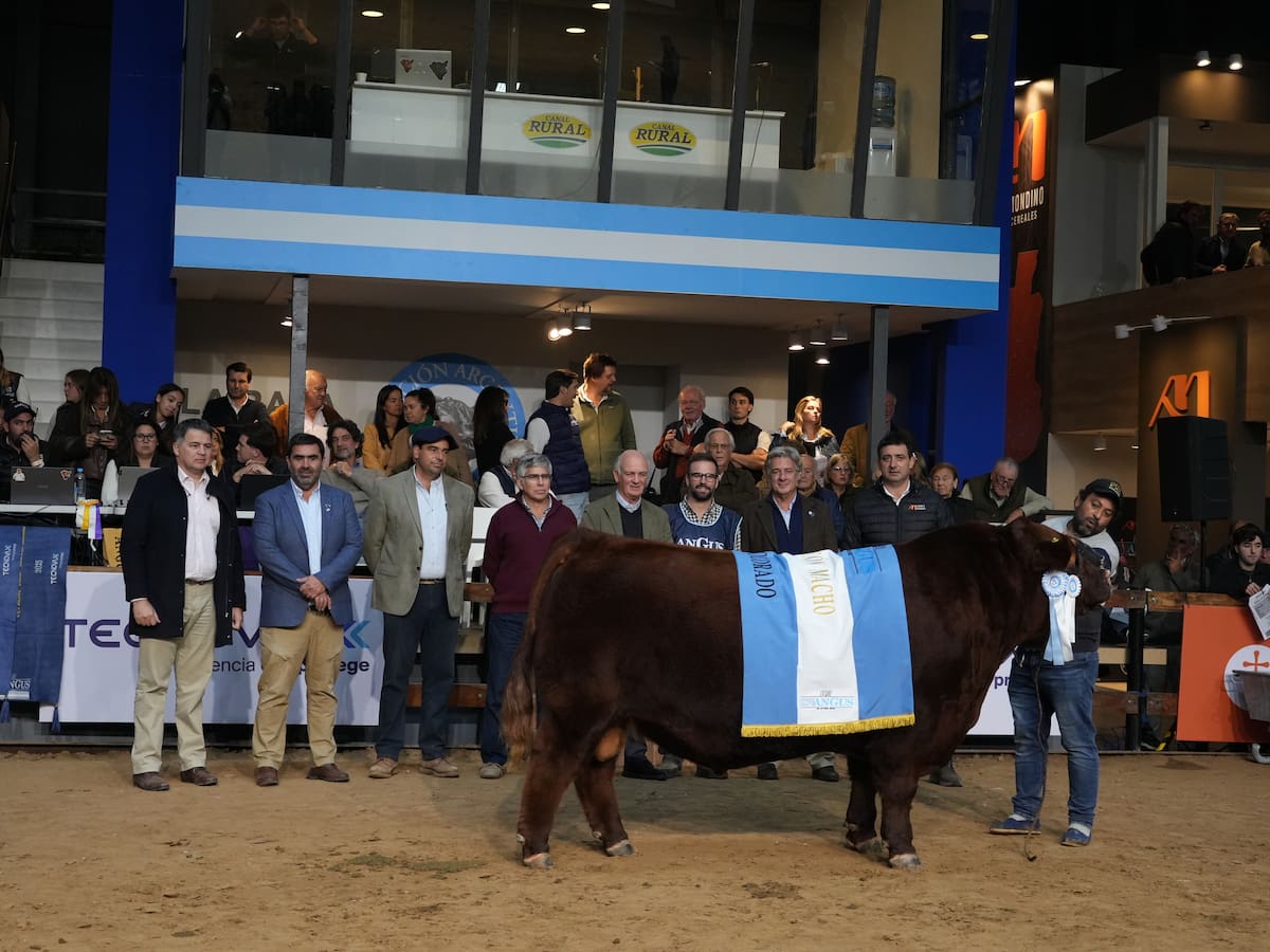 La Alianza y Quequén Sur se consagraron campeones en la Expo Angus Otoño Indoor